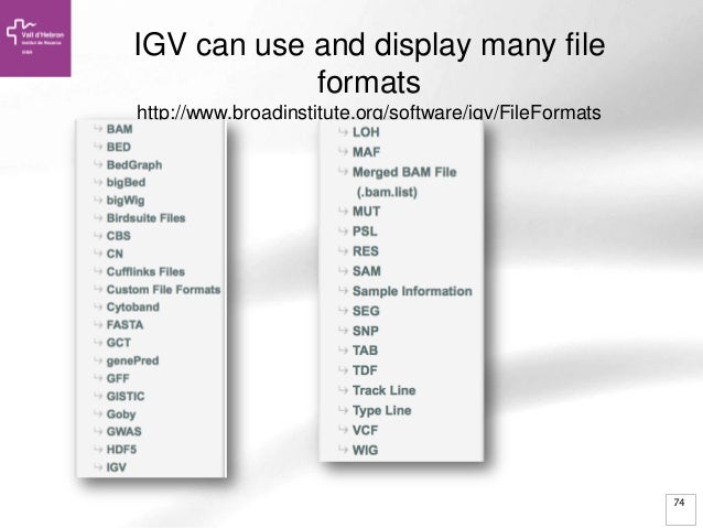 genome browsing genomic data mining and genome data visualization wi gct file format