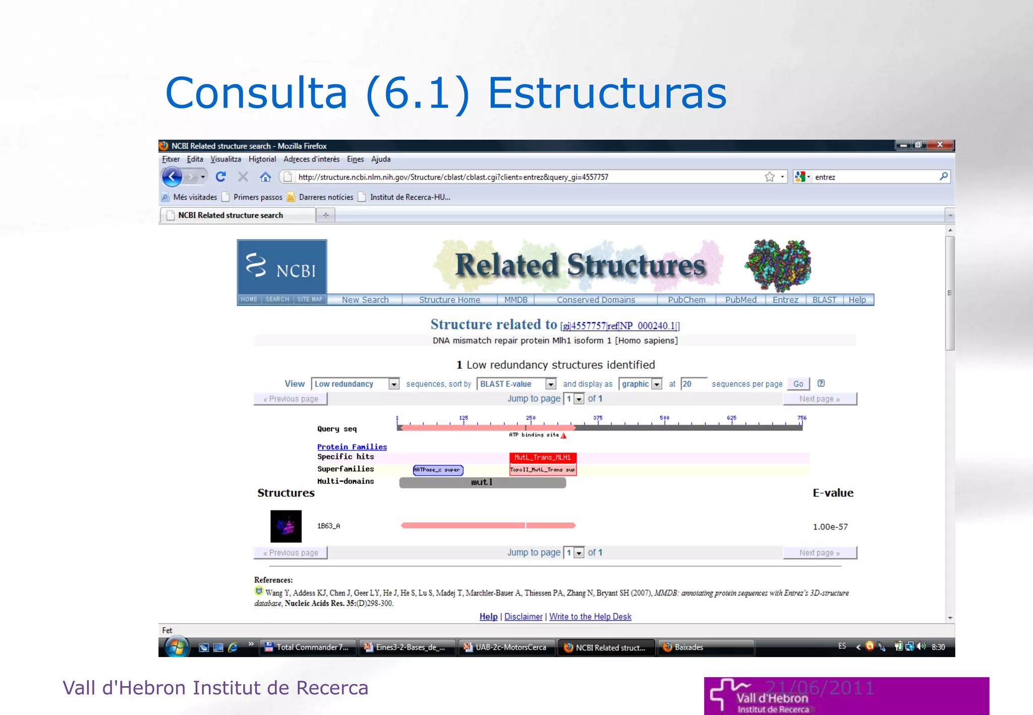 Vall d'Hebron Institut de Recerca 21/06/2011
Consulta (6.1) Estructuras
 