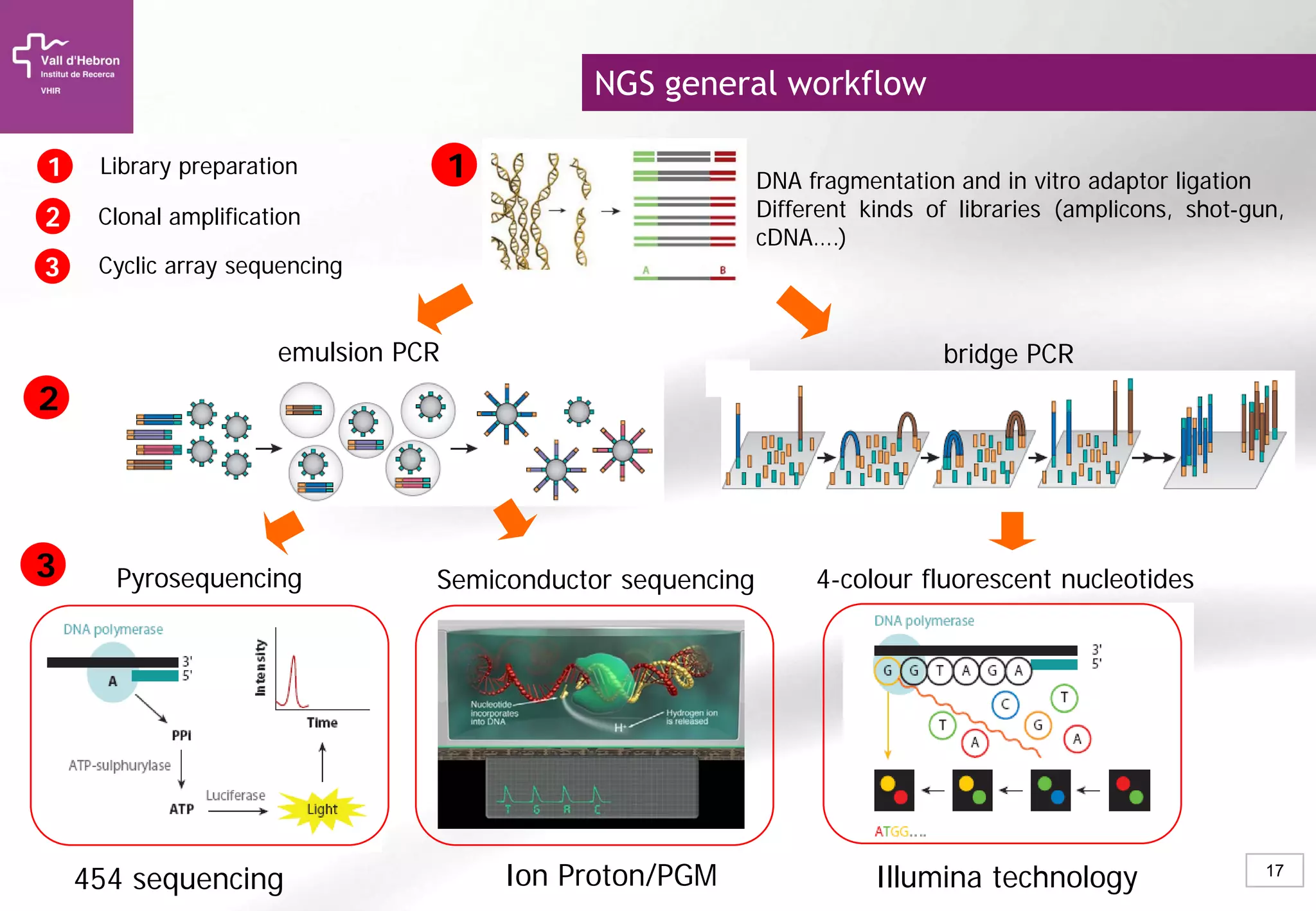 17
DNA fragmentation and in vitro adaptor ligation
Different kinds of libraries (amplicons, shot-gun,
cDNA….)
emulsion PCR bridge PCR
454 sequencing Illumina technologyIon Proton/PGM
Pyrosequencing Semiconductor sequencing 4-colour fluorescent nucleotides
1
2
3
11
22
33
Library preparation
Clonal amplification
Cyclic array sequencing
NGS general workflow
 