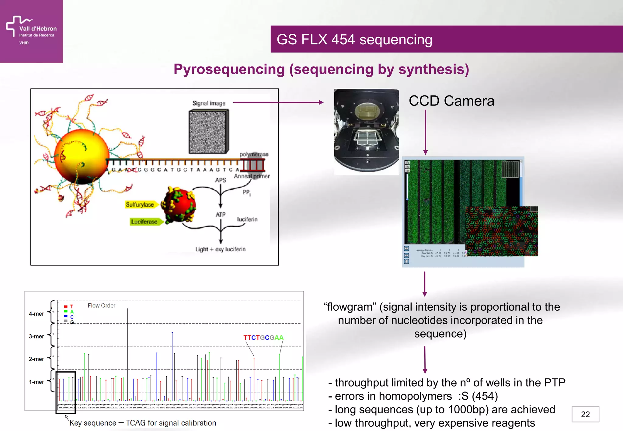 22
Pyrosequencing (sequencing by synthesis)
CCD Camera
“flowgram” (signal intensity is proportional to the
number of nucleotides incorporated in the
sequence)
- throughput limited by the nº of wells in the PTP
- errors in homopolymers :S (454)
- long sequences (up to 1000bp) are achieved
- low throughput, very expensive reagents
GS FLX 454 sequencing
 