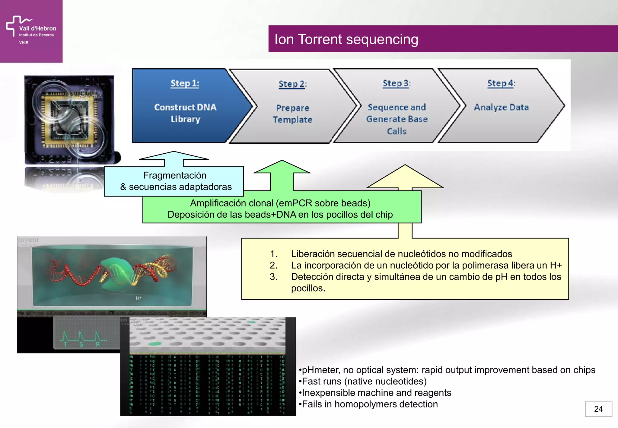 24
Fragmentación
& secuencias adaptadoras
1. Liberación secuencial de nucleótidos no modificados
2. La incorporación de un nucleótido por la polimerasa libera un H+
3. Detección directa y simultánea de un cambio de pH en todos los
pocillos.
ION TORRENT (Life Techn.)
Amplificación clonal (emPCR sobre beads)
Deposición de las beads+DNA en los pocillos del chip
Ion Torrent sequencing
•pHmeter, no optical system: rapid output improvement based on chips
•Fast runs (native nucleotides)
•Inexpensible machine and reagents
•Fails in homopolymers detection
 