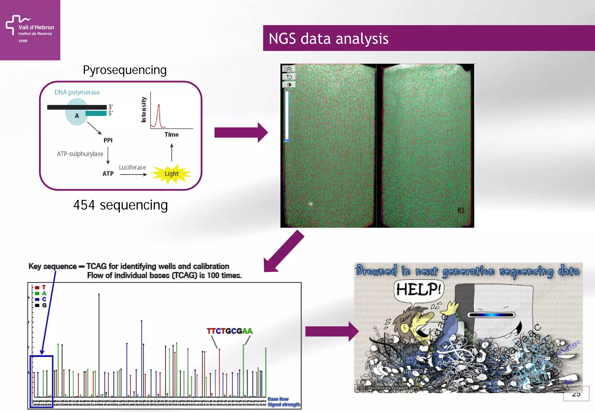 25
NGS data analysis
454 sequencing
Pyrosequencing
 