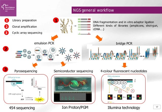illumina sequencing workflow illumina sequencing workflow best free home design illumina sequencing workflow illumina sequencing workflow best free home design