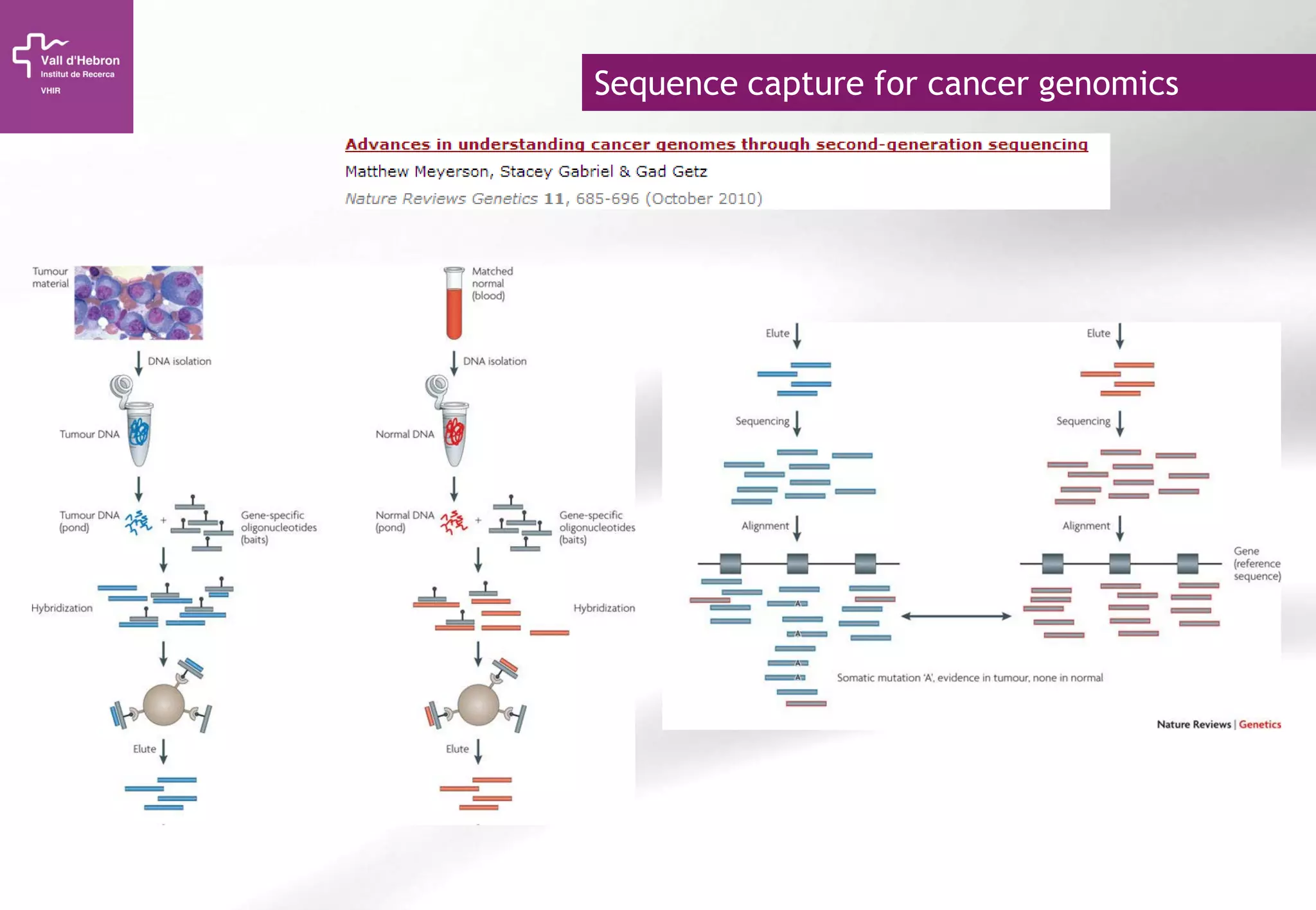 Sequence capture for cancer genomics
 