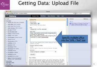 11
Getting Data: Upload File
Specify multiple URLs
into the "URL / Text" box
 
