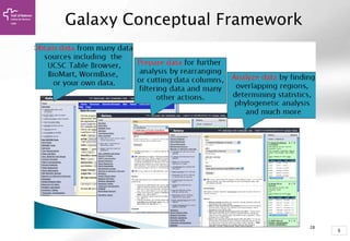 5
Galaxy Conceptual Framework
 
