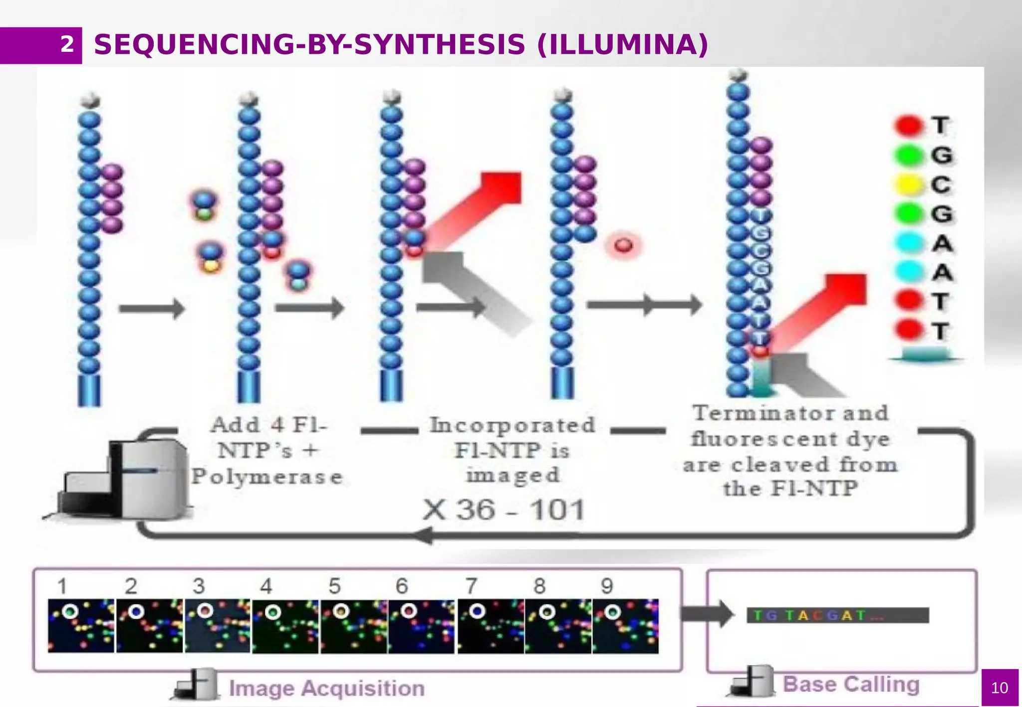 SEQUENCING-BY-SYNTHESIS (ILLUMINA)
10
2
 