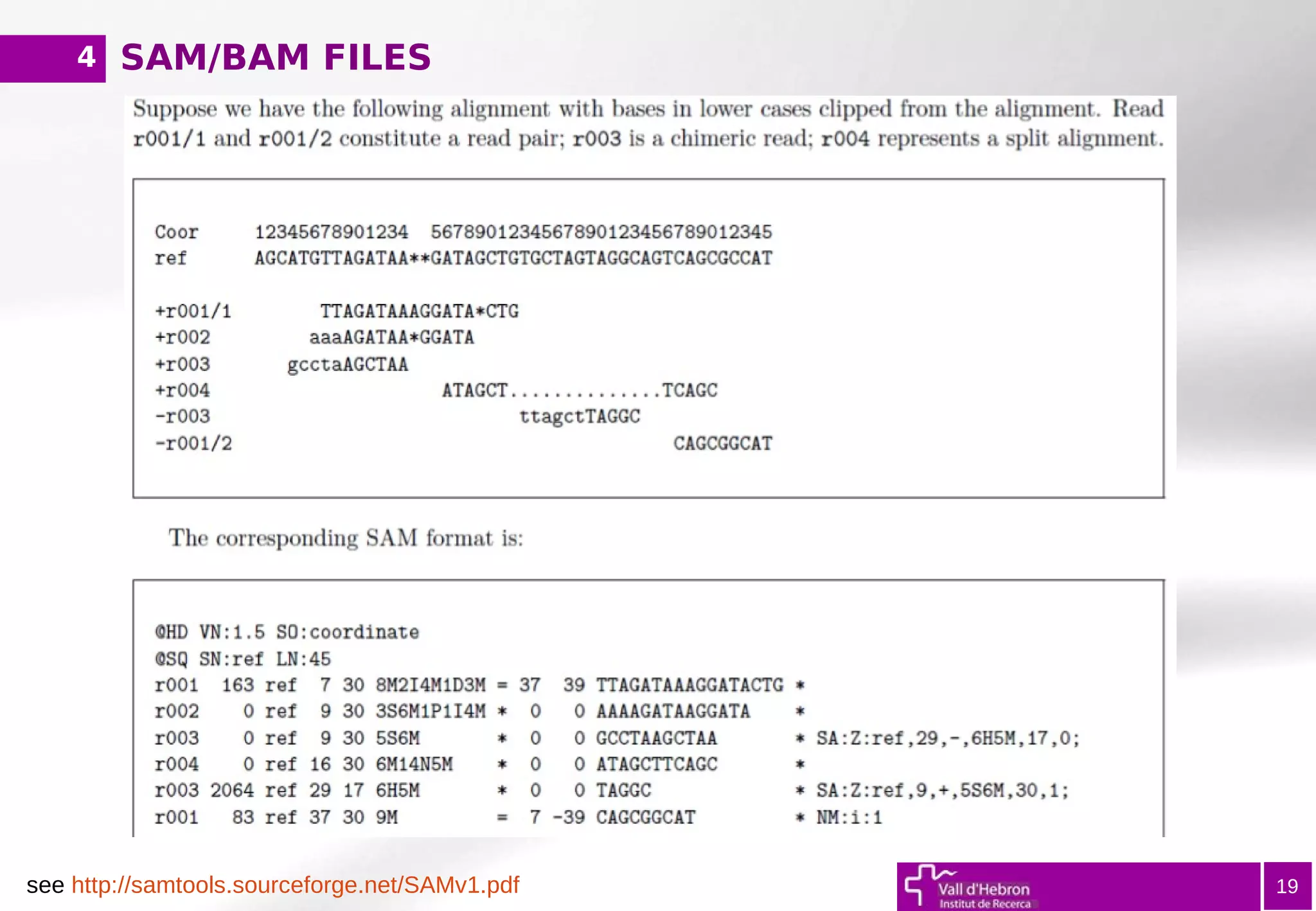 SAM/BAM FILES
19
4
see http://samtools.sourceforge.net/SAMv1.pdf
 