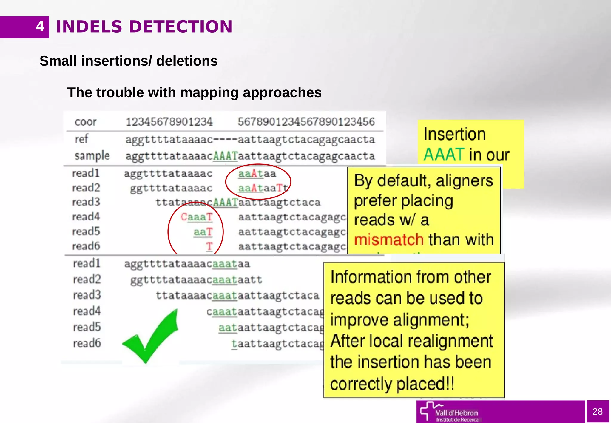 INDELS DETECTION
28
Small insertions/ deletions
The trouble with mapping approaches
4
 
