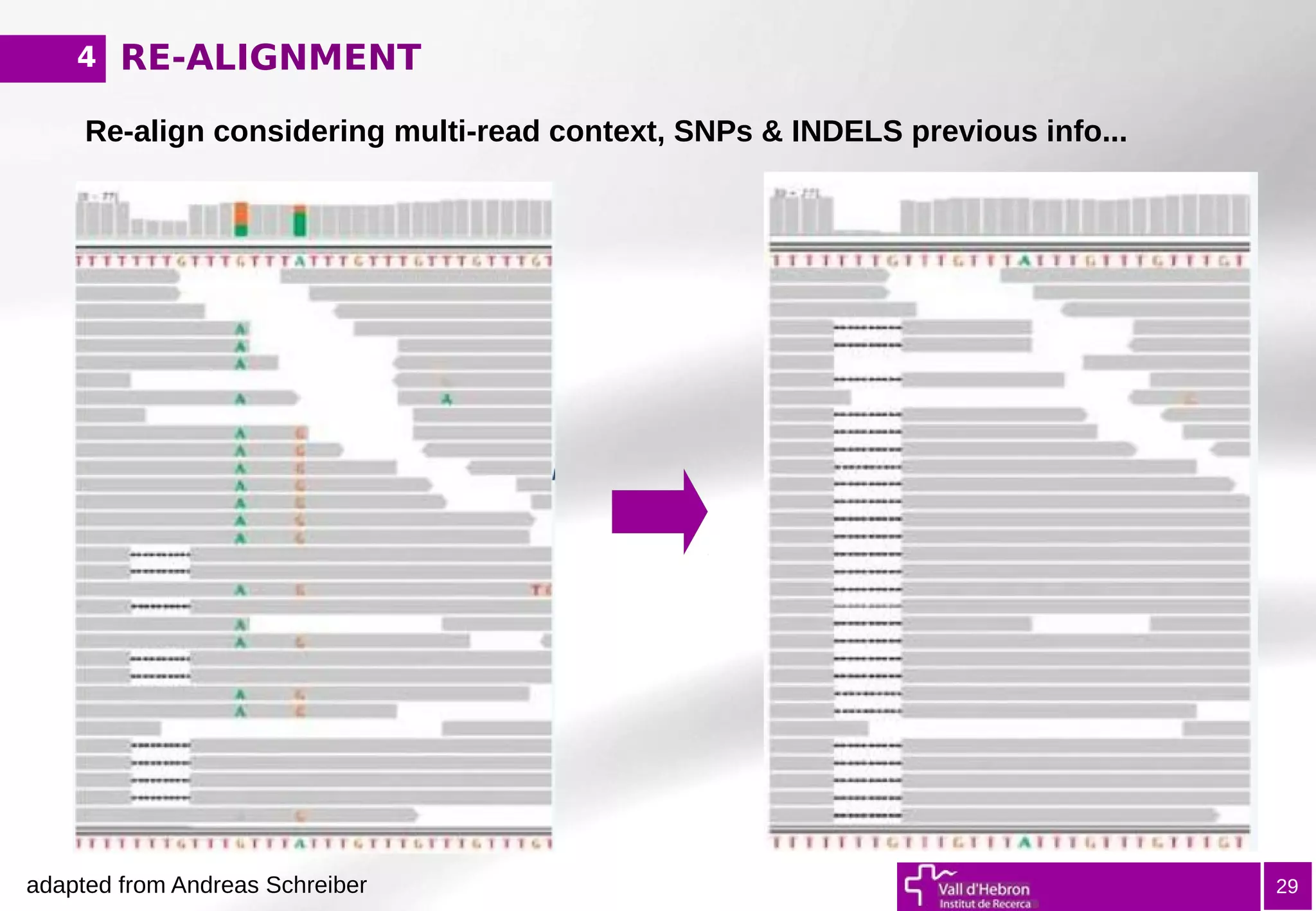 RE-ALIGNMENT
29
Re-align considering multi-read context, SNPs & INDELS previous info...
4
adapted from Andreas Schreiber
 