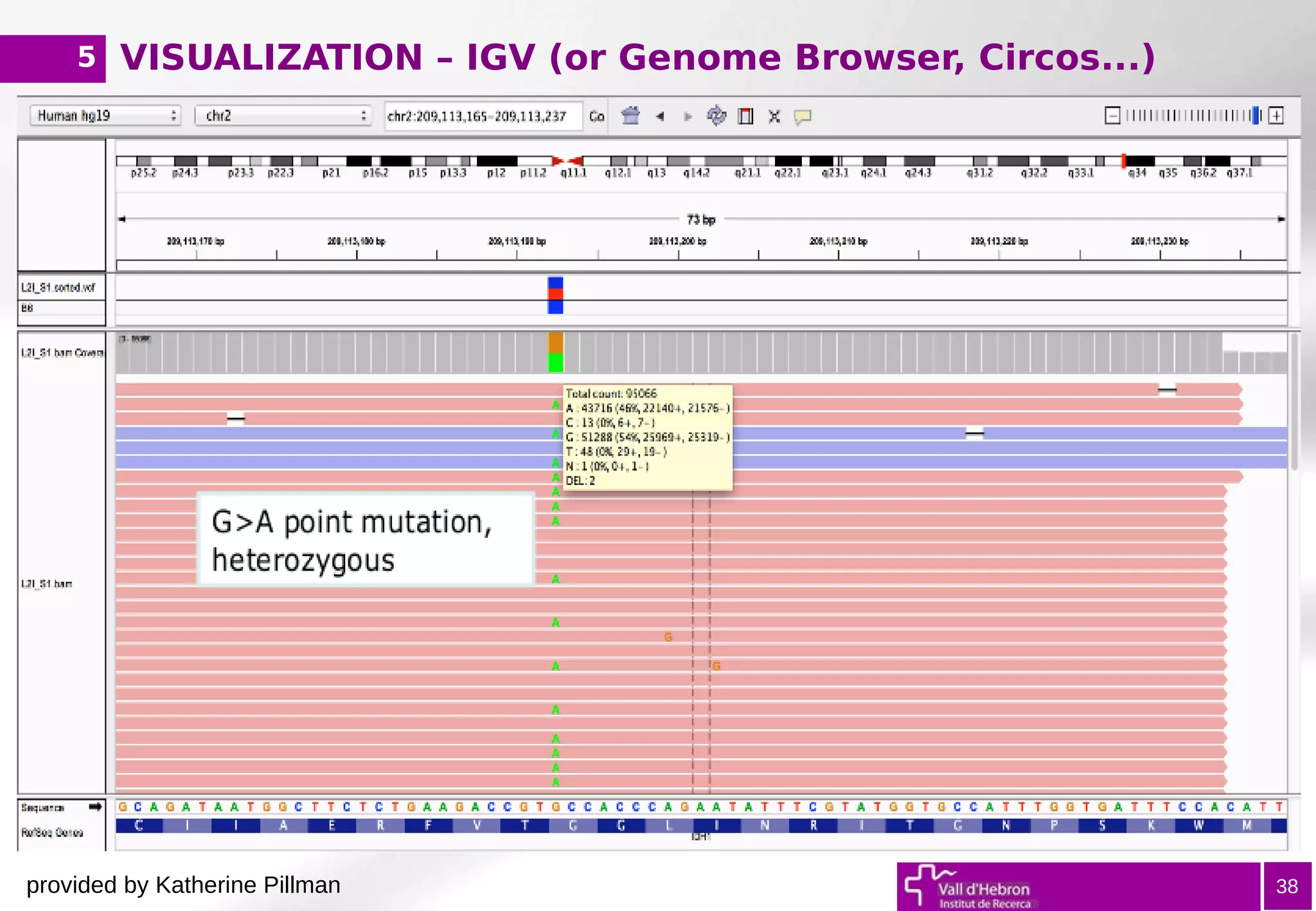 VISUALIZATION – IGV (or Genome Browser, Circos...)
38
5
provided by Katherine Pillman
 