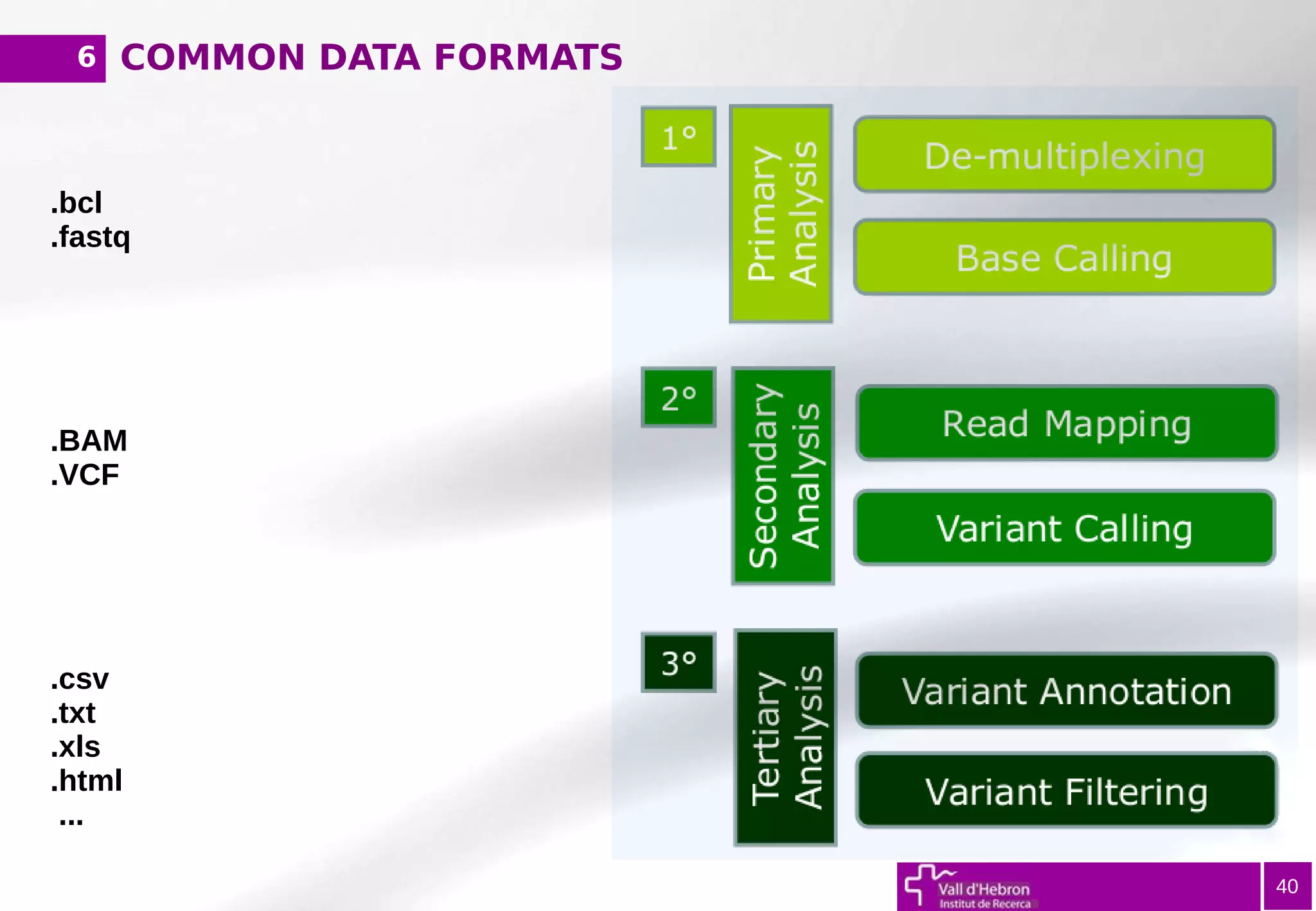 COMMON DATA FORMATS6
40
.bcl
.fastq
.BAM
.VCF
.csv
.txt
.xls
.html
...
 