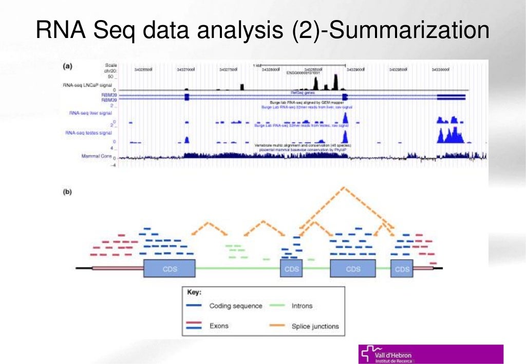 Introduction to RNAseq and RNAseq Data Analysis (UEBUAT Bioinforma…
