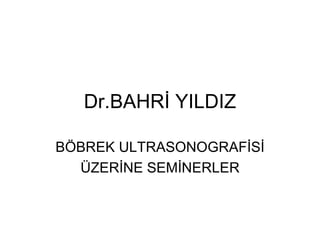 Dr.BAHRİ YILDIZ BÖBREK ULTRASONOGRAFİSİ ÜZERİNE SEMİNERLER 