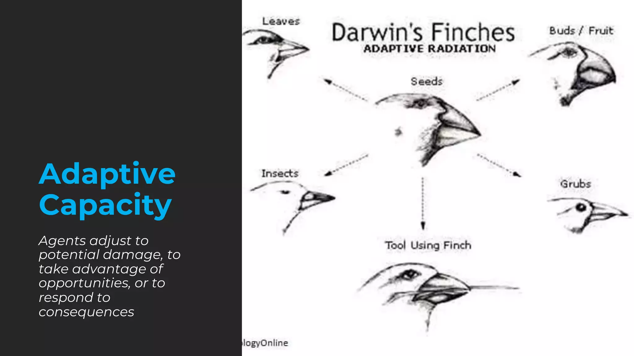 Adaptive
Capacity
Agents adjust to
potential damage, to
take advantage of
opportunities, or to
respond to
consequences
 