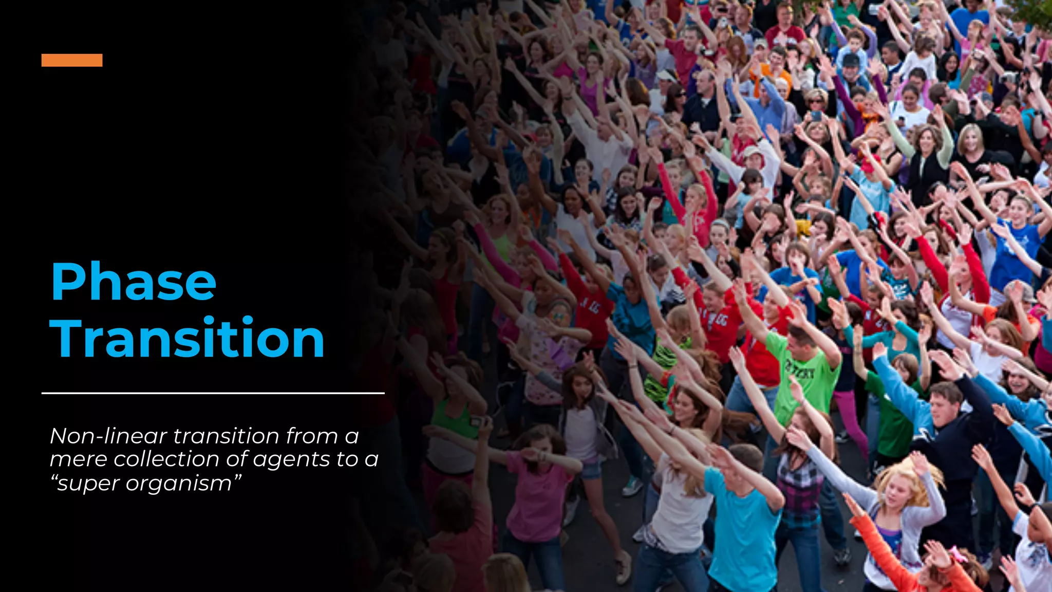 Phase
Transition
Non-linear transition from a
mere collection of agents to a
“super organism”
 