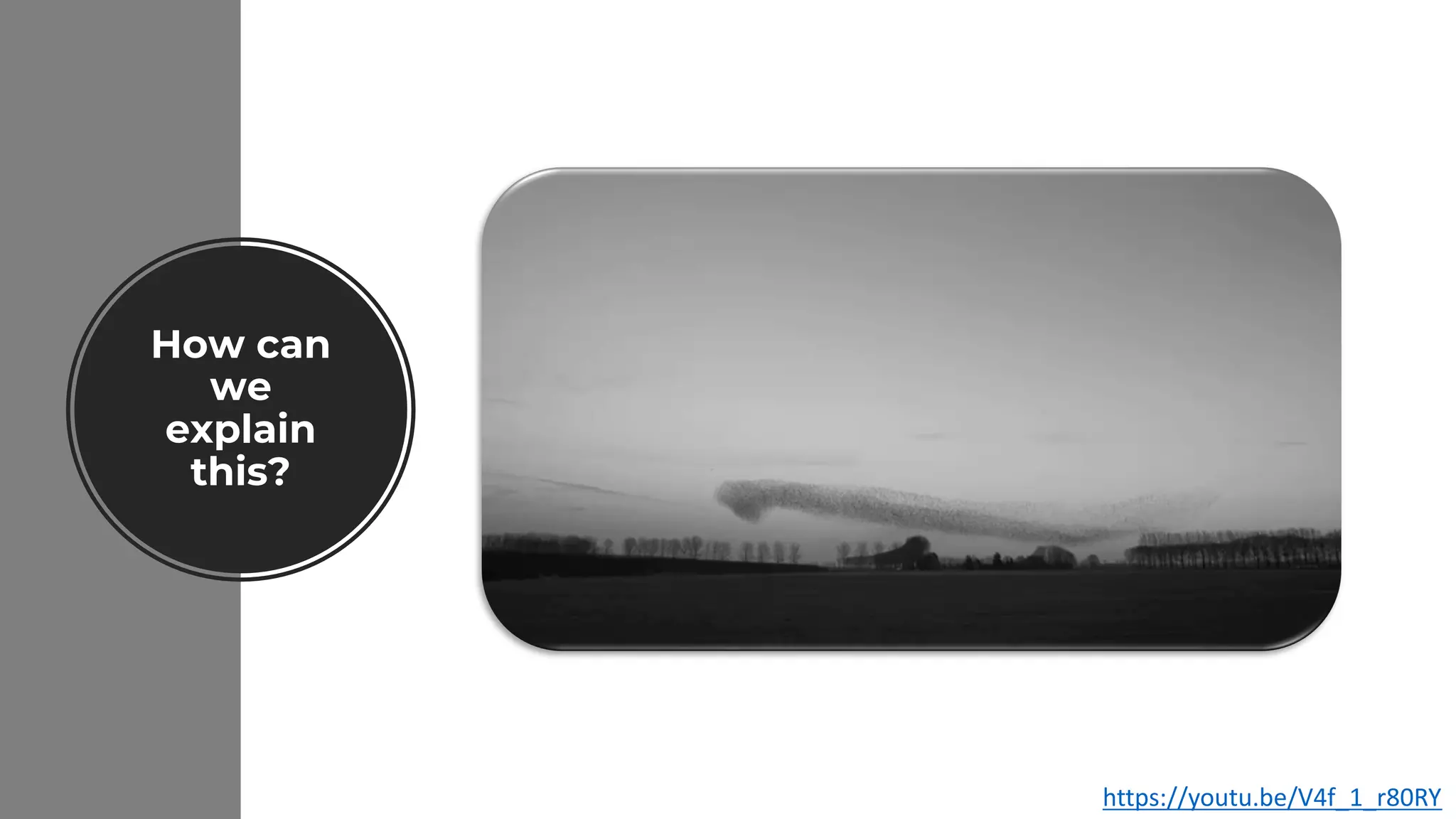 How can
we
explain
this?
https://youtu.be/V4f_1_r80RY
 