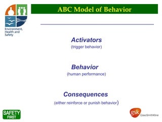 Behaviour Trigger Model bbs - observers 2.pptx behaviour safetyy | PPTX