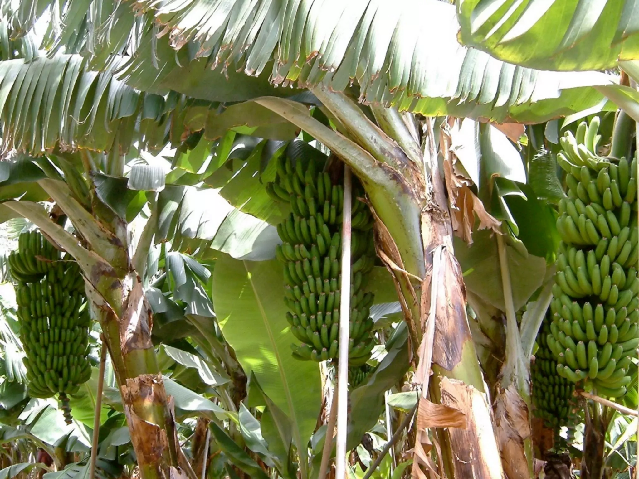 Vortrag!Gebhard!Borck!-!Beyond!Budgeting!Transformation!Network
29
 