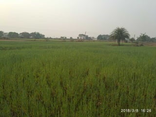 Bbs laksh joshi colany 