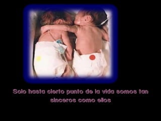 Solo hasta cierto punto de la vida somos tan
            sinceros como ellos
 