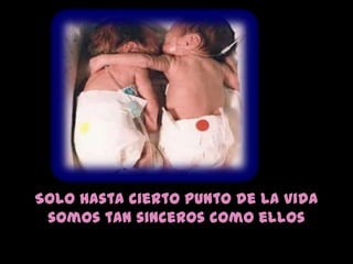 Solo hasta cierto punto de la vida
 somos tan sinceros como ellos
 