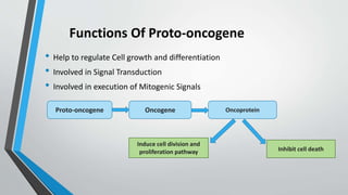 Functions Of Proto-oncogene
• Help to regulate Cell growth and differentiation
• Involved in Signal Transduction
• Involved in execution of Mitogenic Signals
Proto-oncogene Oncogene Oncoprotein
Induce cell division and
proliferation pathway Inhibit cell death
 