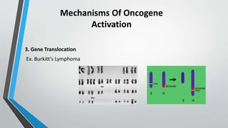 Mechanisms Of Oncogene
Activation
3. Gene Translocation
Ex. Burkitt’s Lymphoma
 