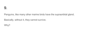 9.
Penguins, like many other marine birds have the supraorbital gland.
Basically, without it, they cannot survive.
Why?
 