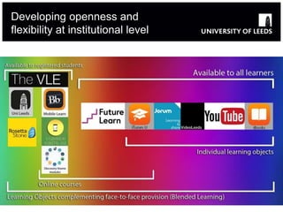 Developing openness and
flexibility at institutional level
 