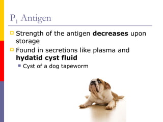 P1 Antigen
 Strength of the antigen decreases upon
  storage
 Found in secretions like plasma and
  hydatid cyst fluid
       Cyst of a dog tapeworm
 