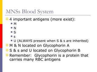 MNSs Blood System
   4 important antigens (more exist):
       M
       N
       S
       s
       U (ALWAYS present when S & s are inherited)
 M & N located on Glycophorin A
 S & s and U located on Glycophorin B
 Remember: Glycophorin is a protein that
  carries many RBC antigens
 