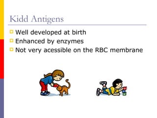 Kidd Antigens
 Well developed at birth
 Enhanced by enzymes
 Not very acessible on the RBC membrane
 