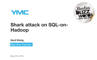 Shark attack on SQL-on-
Hadoop
Gerd König
May 27th, 2014
(Big) Data Engineer
 