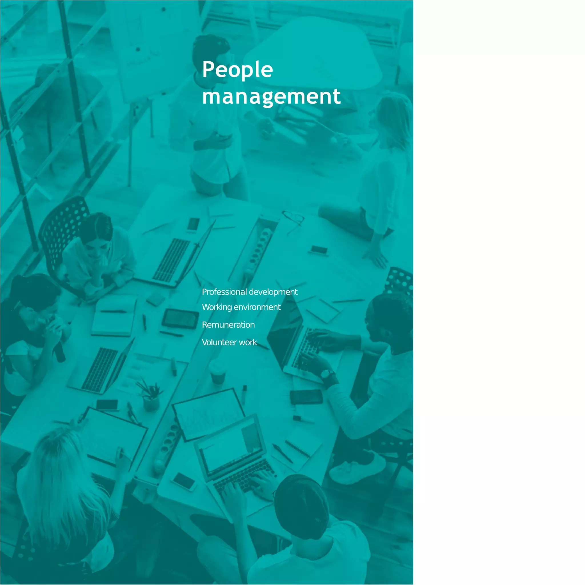 People
management
Professional development
Working environment
Remuneration
Volunteer work
 