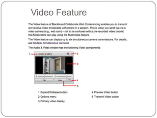 Video Feature