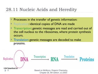 BBY 1102 lecture6-nucleic acid-dna and rna | PPTX