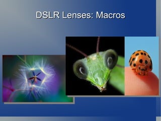 The other method people use is the exact opposite – exhale and before inhaling again take the shot. It’s amazing how much a body rises and falls simply by breathing – being conscious of it can give you an edge. 