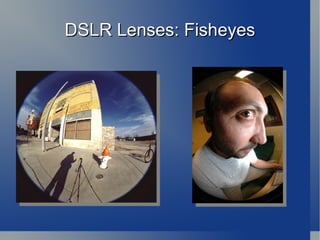 Many options available 