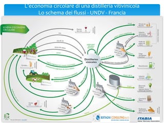 L’economia circolare di una distilleria vitivinicola
Lo schema dei flussi - UNDV - Francia
 
