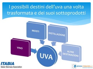 I possibili destini dell’uva una volta
trasformata e dei suoi sottoprodotti
 