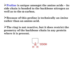 Proline is unique amongst the amino acids – its
side chain is bonded to the backbone nitrogen as
well as to the α-carbon. 
Because of this proline is technically an imino
rather than an amino acid. 
The ring is not reactive, but it does restrict the
geometry of the backbone chain in any protein
where it is present.  
 