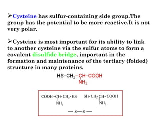 Cysteine has sulfur-containing side group.The
group has the potential to be more reactive.It is not
very polar.
Cysteine is most important for its ability to link
to another cysteine via the sulfur atoms to form a
covalent disulfide bridge, important in the
formation and maintenance of the tertiary (folded)
structure in many proteins.
SHHS CH2CH2CH CH COOHCOOH
NH2
NH2
- - - - - -
SS
 