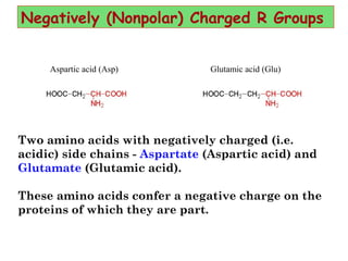 Aspartic acid (Asp) Glutamic acid (Glu)
Negatively (Nonpolar) Charged R Groups
Two amino acids with negatively charged (i.e.
acidic) side chains - Aspartate (Aspartic acid) and
Glutamate (Glutamic acid). 
These amino acids confer a negative charge on the
proteins of which they are part. 
 