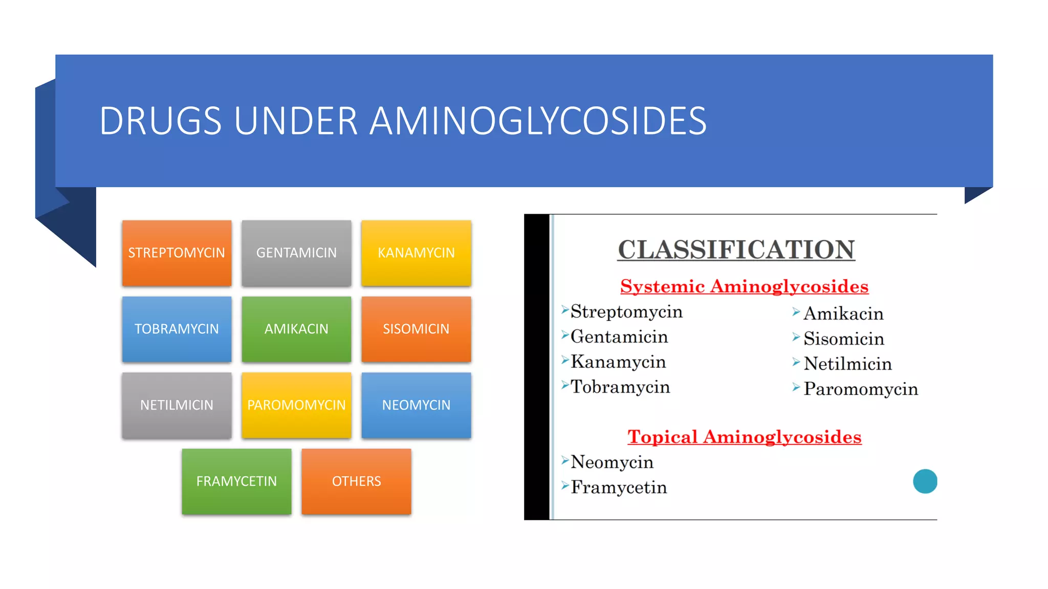 BC- MEDICINE MICROBIOLOGY (AMINOGLYCOSIDES).pdf