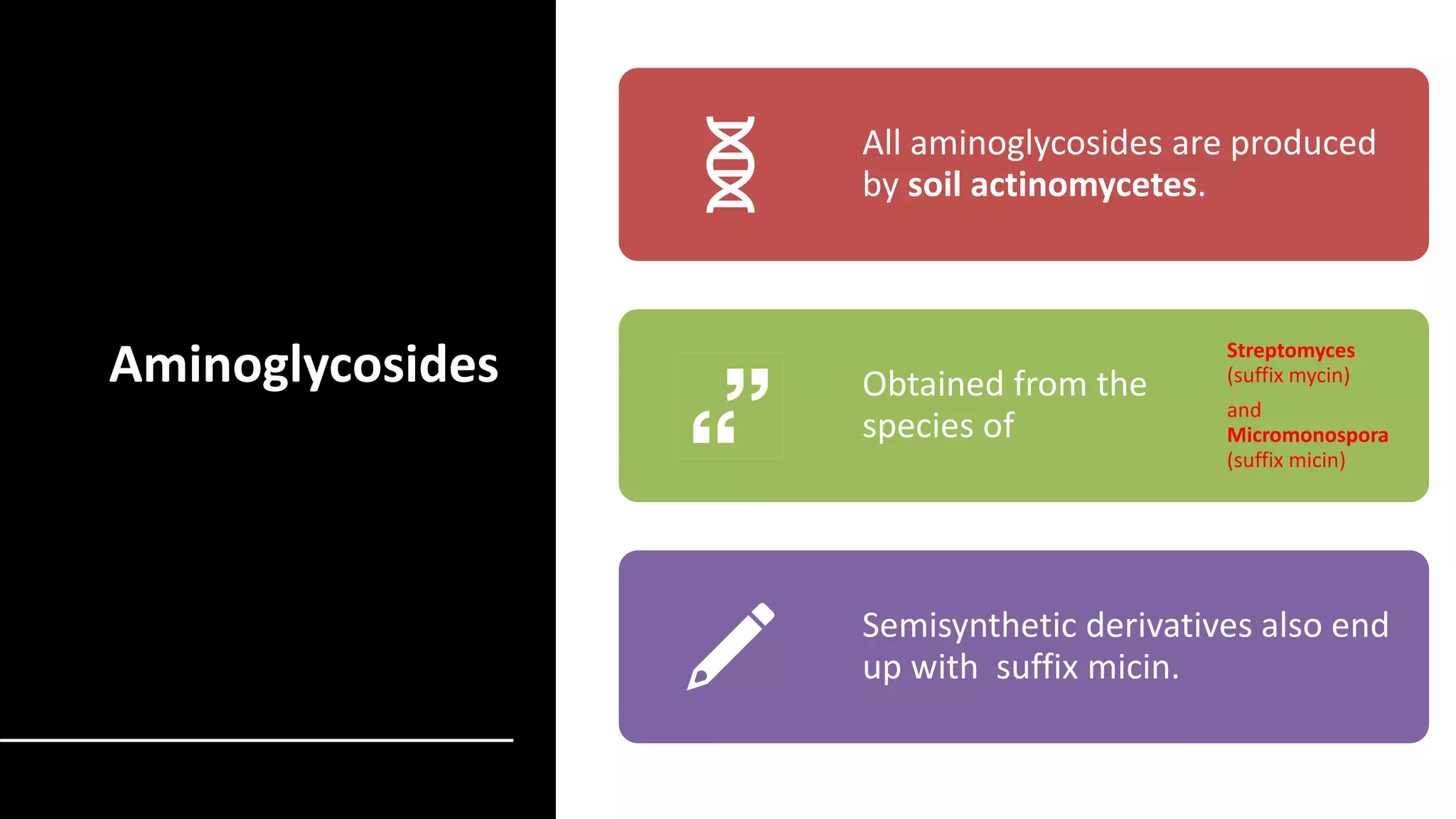 BC- MEDICINE MICROBIOLOGY (AMINOGLYCOSIDES).pdf