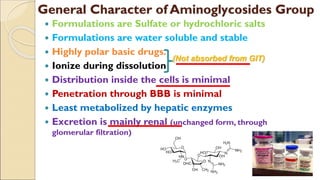 BC- MEDICINE MICROBIOLOGY (AMINOGLYCOSIDES).pdf