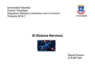 Universidad Yacambú
Carrera: Psicología
Asignatura: Biología y Conducta (THB-0153 ED03D0V)
Trimestre 2016-1
El Sistema Nervioso
Miguel Zamora
CI 8.857.246
 