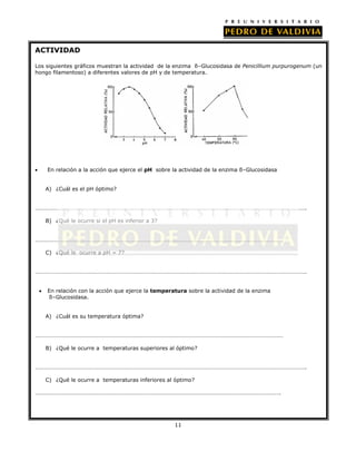 ACTIVIDAD
Los siguientes gráficos muestran la actividad de la enzima ß–Glucosidasa de Penicillium purpurogenum (un
hongo filamentoso) a diferentes valores de pH y de temperatura.

En relación a la acción que ejerce el pH sobre la actividad de la enzima ß–Glucosidasa
A) ¿Cuál es el pH óptimo?
……………………………………………………………………………………………………………………………………………………………………….
B) ¿Qué le ocurre si el pH es inferior a 3?
…………………………………………………………………………………………………………………………………………………………
C) ¿Qué le ocurre a pH = 7?
……………………………………………………………………………………………………………………………………………………………………….
En relación con la acción que ejerce la temperatura sobre la actividad de la enzima
ß–Glucosidasa.
A) ¿Cuál es su temperatura óptima?
…………………………………………………………………………………………………………………………………………………………
B) ¿Qué le ocurre a temperaturas superiores al óptimo?
……………………………………………………………………………………………………………………………………………………………………….
C) ¿Qué le ocurre a temperaturas inferiores al óptimo?
……………………………………………………………………………………………………………………………………………………….

11

 