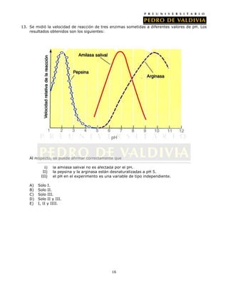 13. Se midió la velocidad de reacción de tres enzimas sometidas a diferentes valores de pH. Los
resultados obtenidos son los siguientes:

Al respecto, se puede afirmar correctamente que
I)
II)
III)
A)
B)
C)
D)
E)

la amilasa salival no es afectada por el pH.
la pepsina y la arginasa están desnaturalizadas a pH 5.
el pH en el experimento es una variable de tipo independiente.

Solo I.
Solo II.
Solo III.
Solo II y III.
I, II y IIII.

16

 